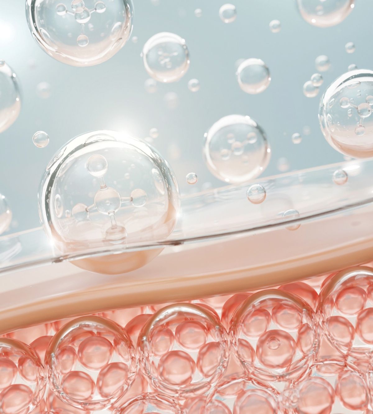 RSBE_SkinBarrier_BIOFDC_Skin-Cells.jpg